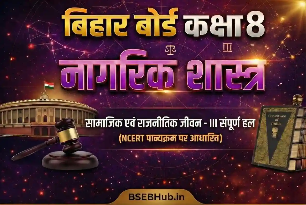 bseb class 8 civics chapter 8 important questions