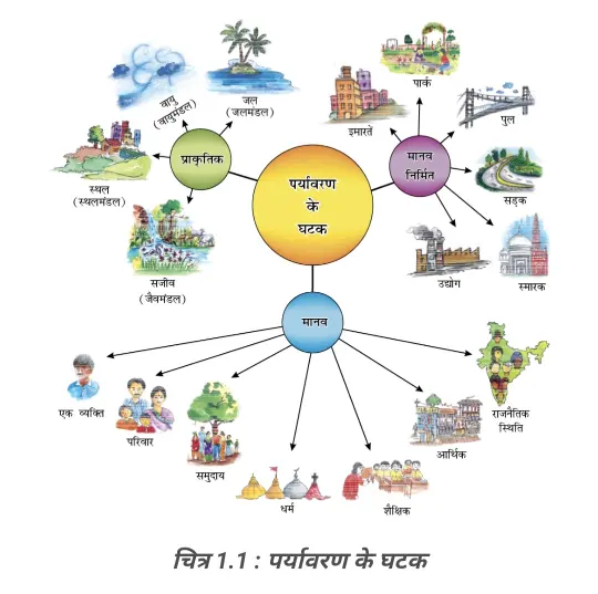 Bihar Board Class 7 Geography Chapter 1 Environment Components Diagram