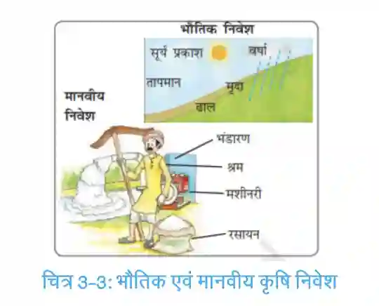 Diagram showing physical and human inputs required for agriculture