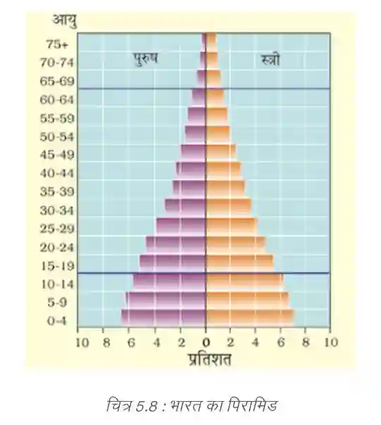 India Population Pyramid NCERT