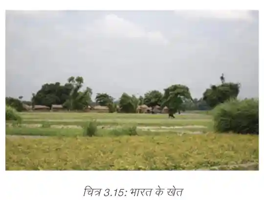 View of a typical small agricultural farm in an Indian village
