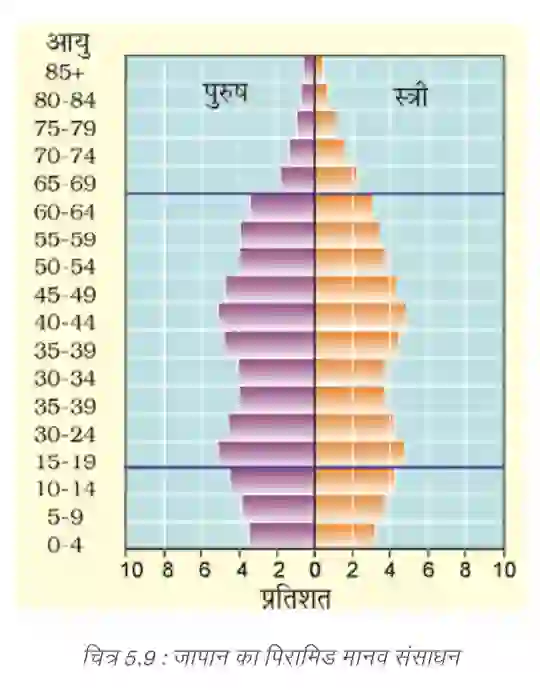 Japan Population Pyramid NCERT