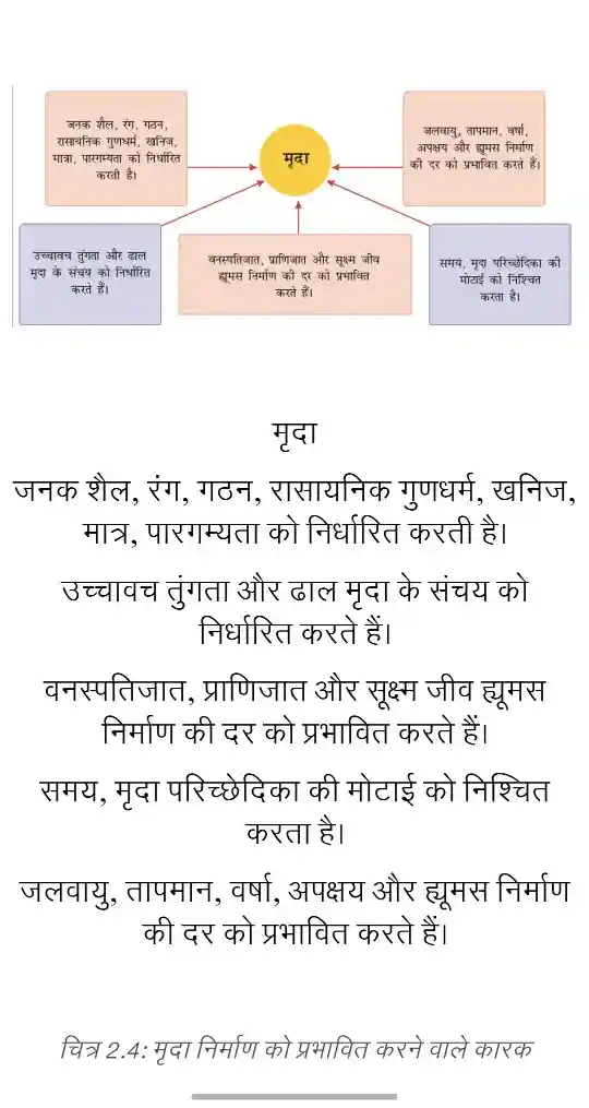Flowchart showing factors affecting soil formation: Parent Rock, Climate, Relief, Flora Fauna, Time