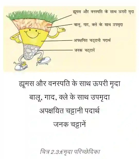Diagram showing soil profile layers: Topsoil with humus, Subsoil, Weathered rock, Parent rock