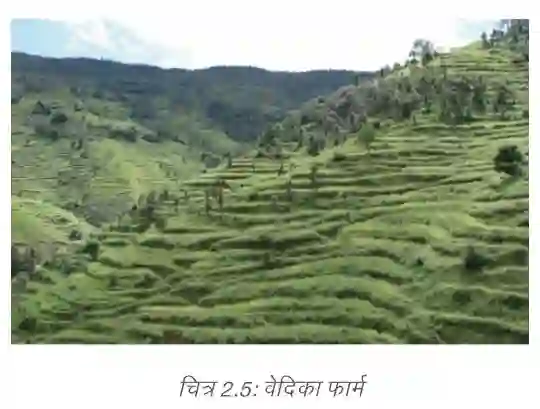 View of terrace farming on steep slopes to prevent soil erosion