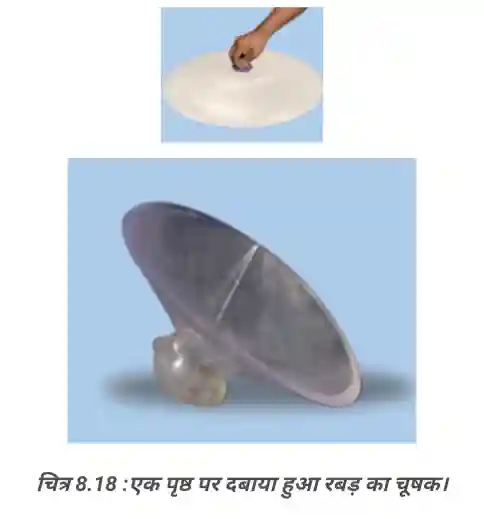 Bihar Board Class 8 Science Chapter 8 Notes: चित्र 8.18 पृष्ठ पर दबाया हुआ रबड़ का चूषक