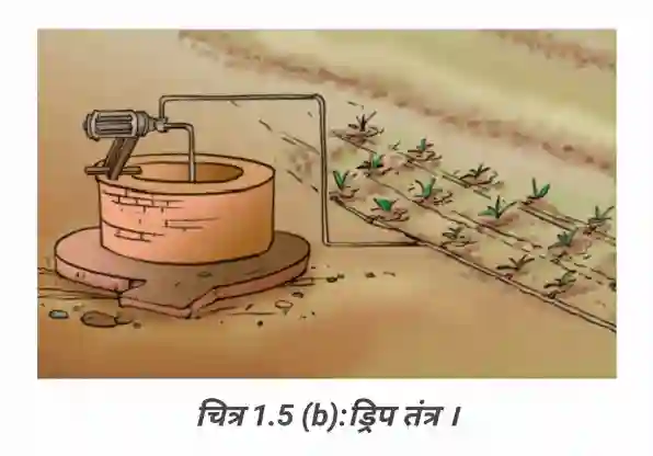 Bihar Board Class 8 Science Chapter 1 Solutions - Drip System Diagram